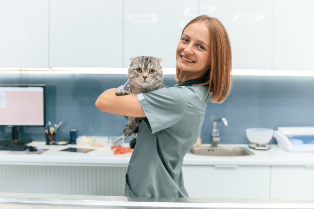站着，抱着动物，微笑着。苏格兰折耳猫和女医生在兽医诊所图片下载