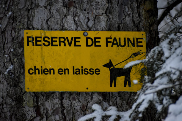 野生动物保护区图片下载