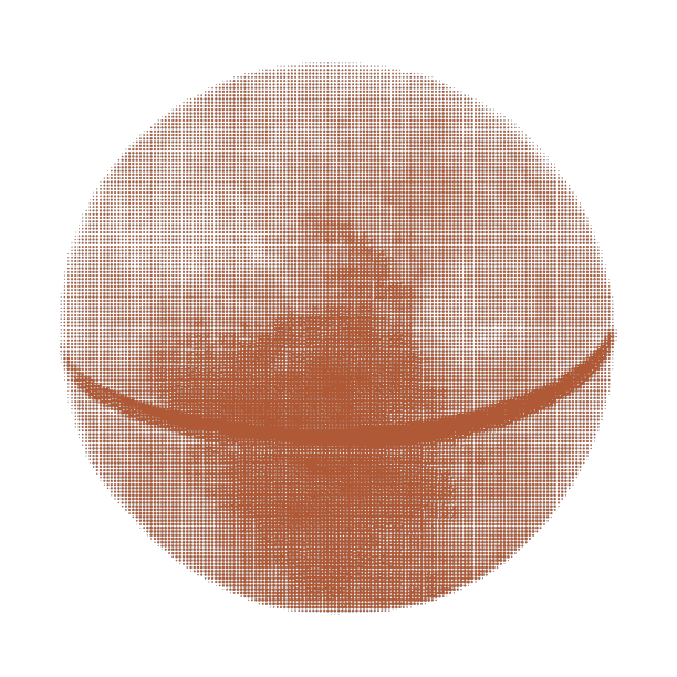 澳洲坚果未抛光的一个特写孤立图片下载