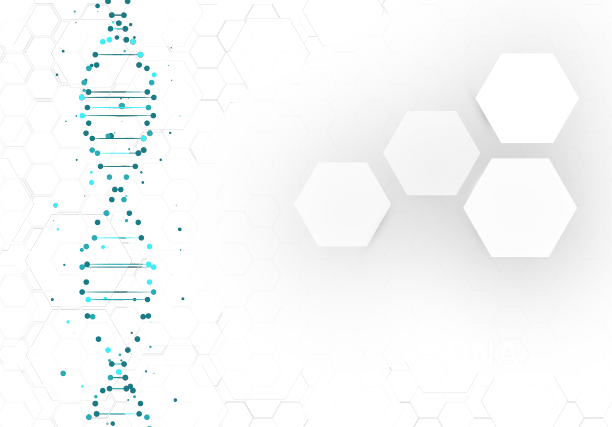 大基因组数据可视化图片下载