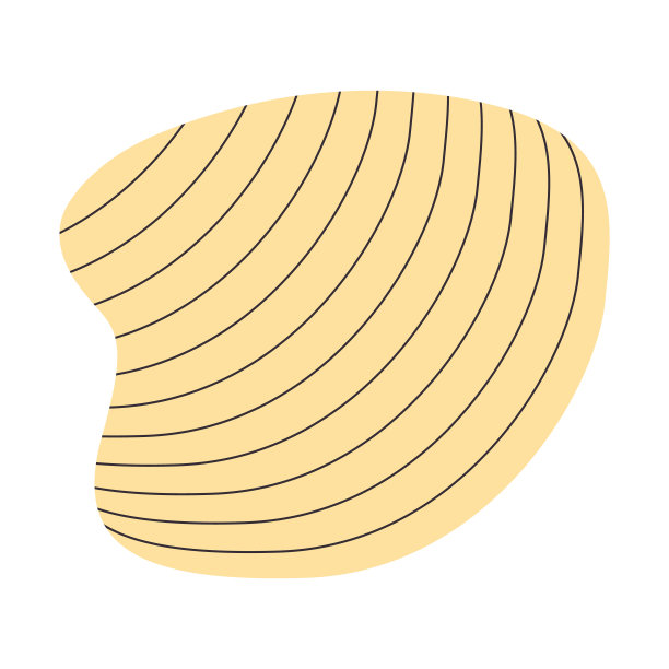 硬壳蚌食用软体动物野生自然海洋海洋水生贝壳热带海滩美味海鲜图片下载