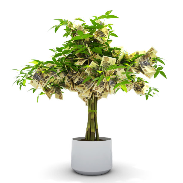 津巴布韦元树。3d渲染的钱在树上孤立的白色背景。经济增长图片下载