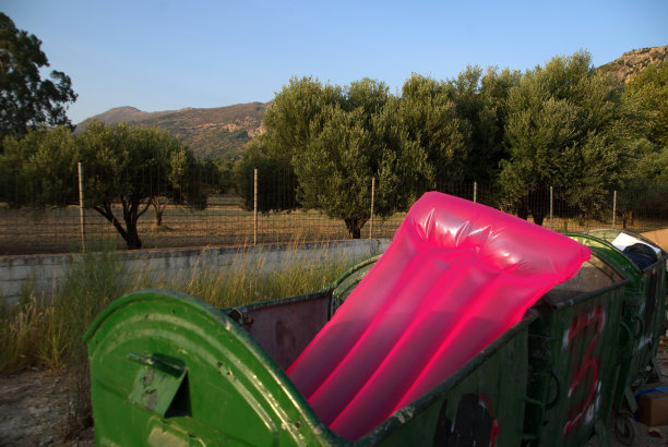 对着树木和天空看垃圾桶图片下载