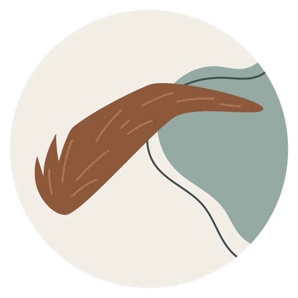 社交媒体亮点封面模板。矢量隔离圆形标签或图标，女性眉毛，平面风格。图片下载