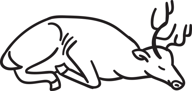 抚摸鹿睡图片下载