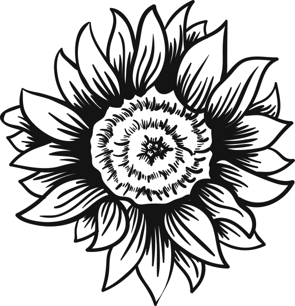 向日葵头冲程图片下载