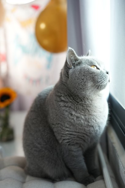 祝我的心上人生日快乐图片下载