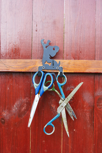 照片剪刀挂在挂钩上储藏工具图片下载