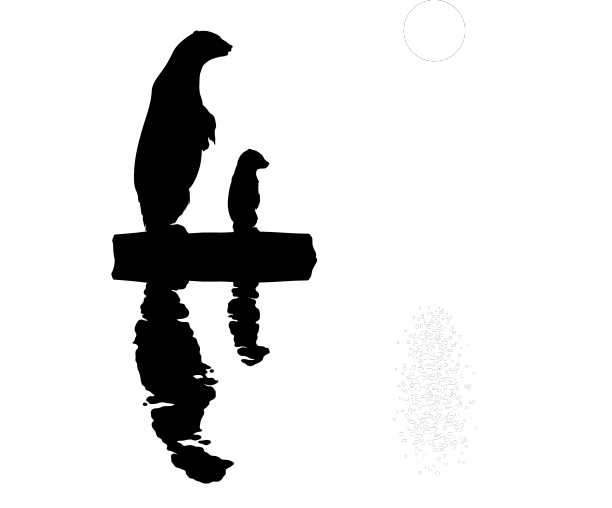 浮冰上的北极熊是濒危动物家族图片下载