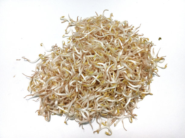 发芽的蔬菜图片下载