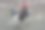 公鸡的背景照片图片下载
