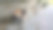 懒狗在公园长椅上休息的惊人照片图片下载