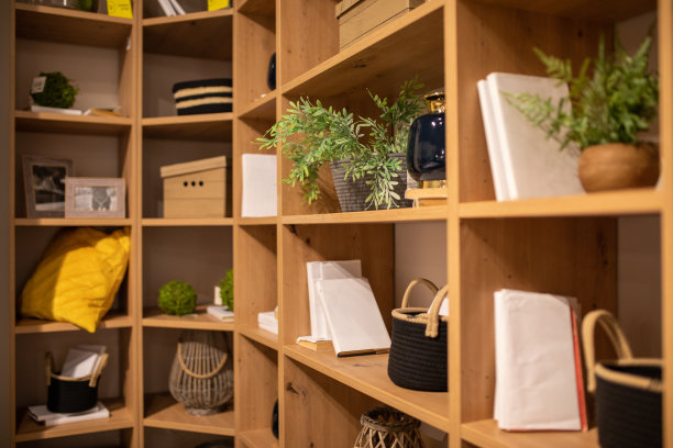 打开客厅、办公室的家具架子，摆满了各种各样的东西。室内秩序井然。图片下载