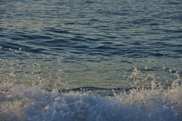 海底库存照片。平静的蓝色太平洋。图片下载