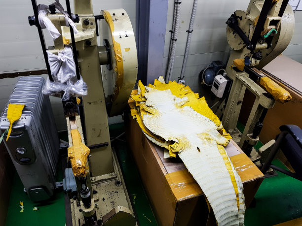 结果加工黄鳄鱼皮和皮革抛光机图片下载