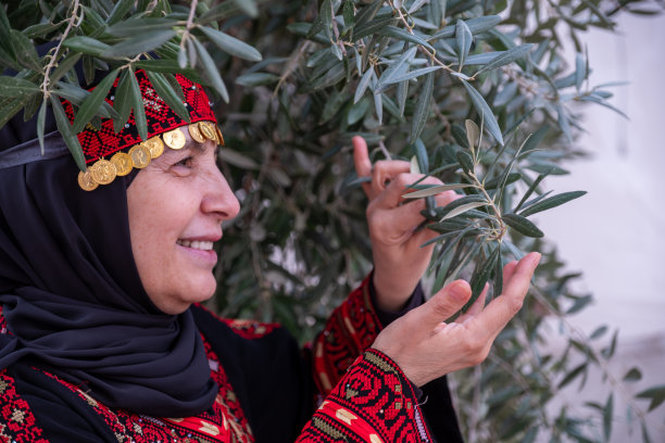 一名身穿巴勒斯坦传统服装的妇女在橄榄树地里手持树枝的肖像图片下载