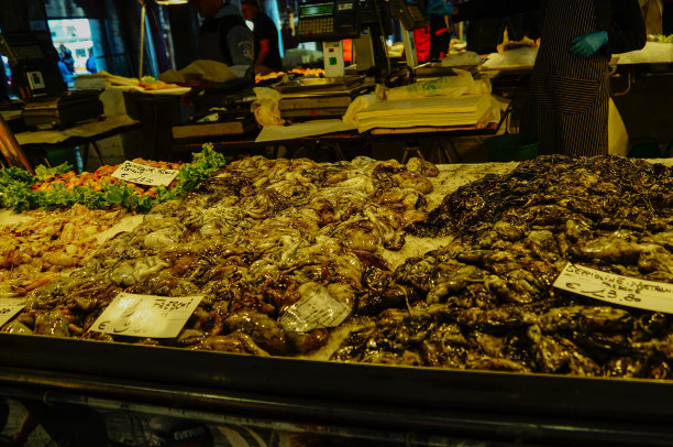 市场上有鱿鱼和章鱼图片下载