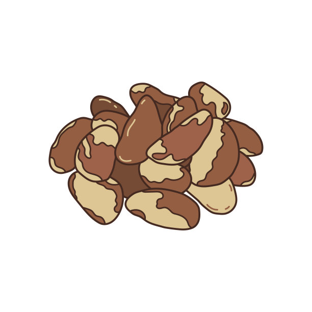 孩子们画矢量插图巴西坚果在一个卡通风格孤立的白色背景图片下载