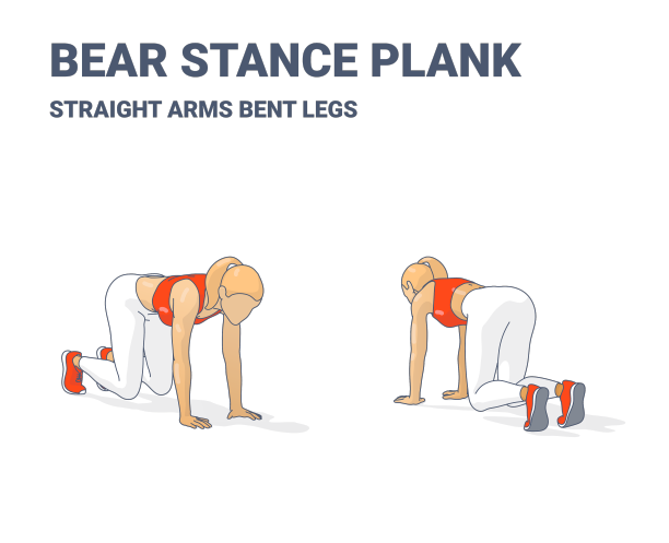 熊平板支撑锻炼女性家庭锻炼常规图片下载