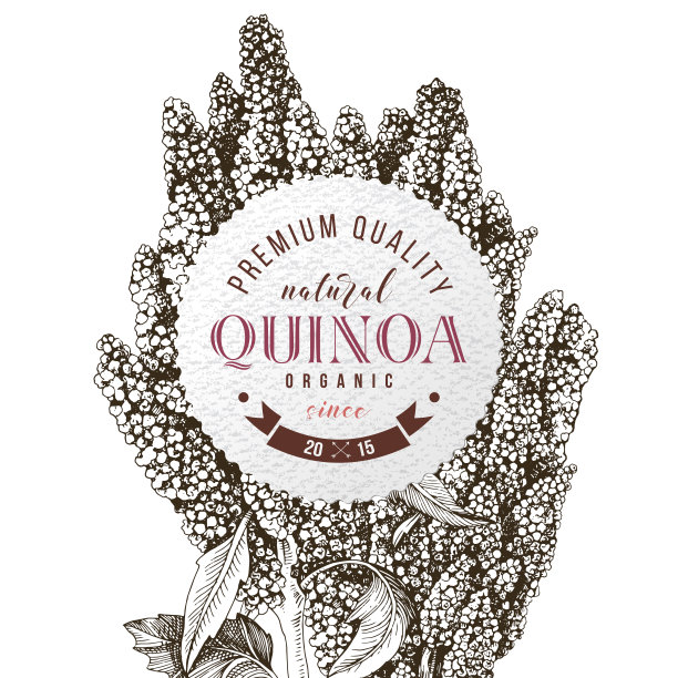 手绘藜麦圆形徽章图片下载