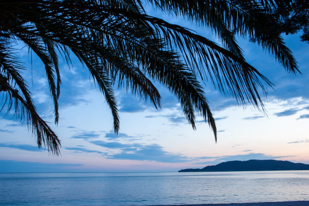 傍晚的海岸海景与棕榈叶和岛屿。热带日落为出版物，海报，日历，邮政，屏幕保护程序，壁纸，明信片，横幅，封面。高质量照片图片下载
