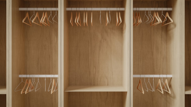 几个空的衣架挂在空的壁橱里，用于组织壁橱，3d渲染图片下载