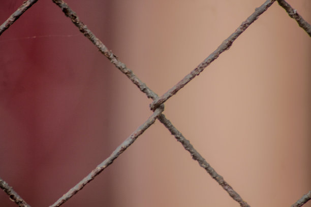 特写铁丝网对模糊的背景图片下载