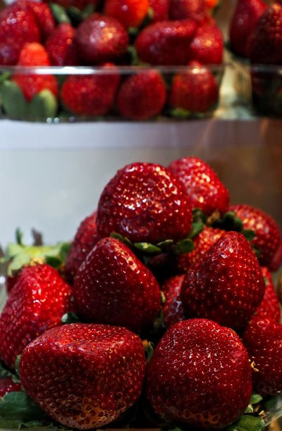 基因研究成果图片下载