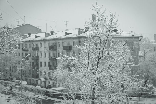 黑白照片，冬天的城市景观，有树和房子图片下载