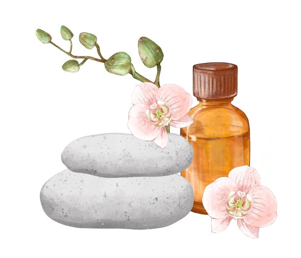 芳香疗法。一瓶精油，按摩石和兰花花。健康生活方式的概念和对皮肤的水疗治疗。手绘插图孤立在白色背景。图片下载
