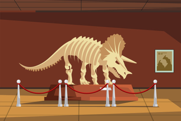 古生物博物馆与恐龙化石矢量插图。史前三角龙骨架卡通古生物展。基座上的历史文物和双桨。科学概念图片下载