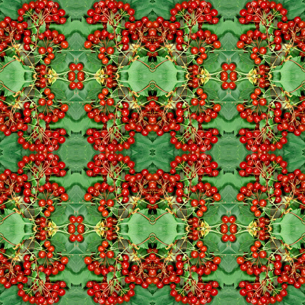 植物。无缝模式。浆果和山楂叶的装饰品。无缝图案拼贴棉织物。用于网页设计。用于墙纸，t恤，亚麻布或包装，纺织品印刷图片下载