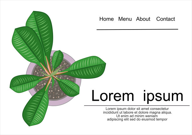 盆栽植物的俯视图。白色背景上孤立的绿色花。矢量图图片下载