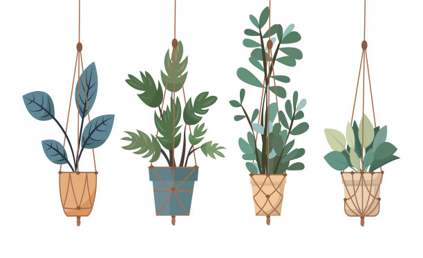 集编织植物吊架与室内植物隔离在白色背景。矢量图图片下载