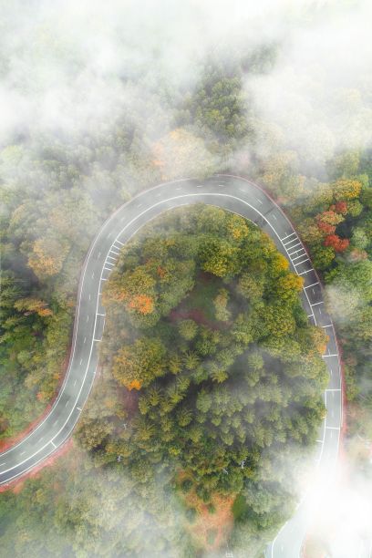 一张航拍照片显示了一条道路在秋天穿过树林图片下载