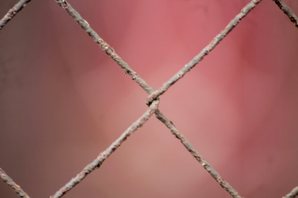 特写铁丝网对模糊的背景图片下载