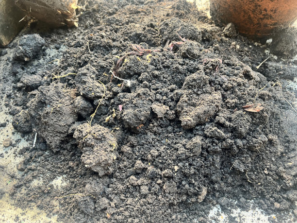 一堆泥土的照片，背景是一个罐子。图片下载