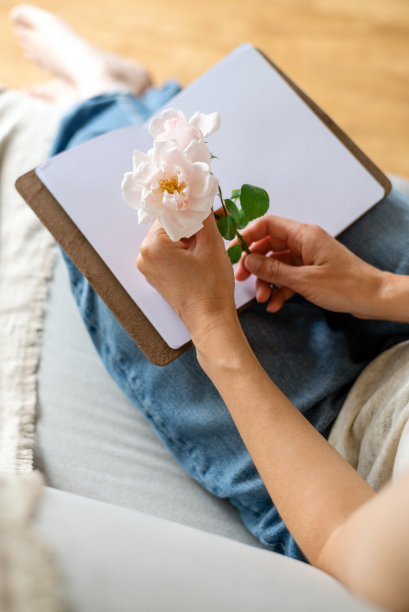 一个女人手持一朵粉红色的花园玫瑰。图片下载