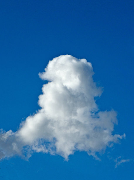 巴洛克风格的脸图片下载