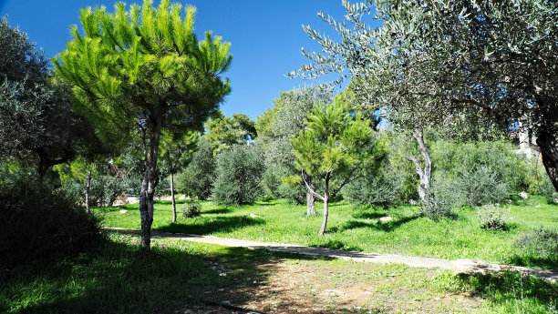 面对面图片下载