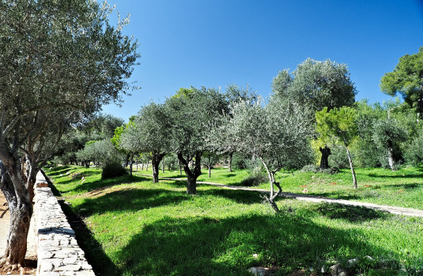 明亮化图片下载