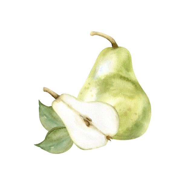 水彩手绘绿色梨和半切片插图。夏季水果用绿叶布置厨房，盘子，标签，标志设计。剪贴艺术的邀请，卡片，婚礼设计图片下载