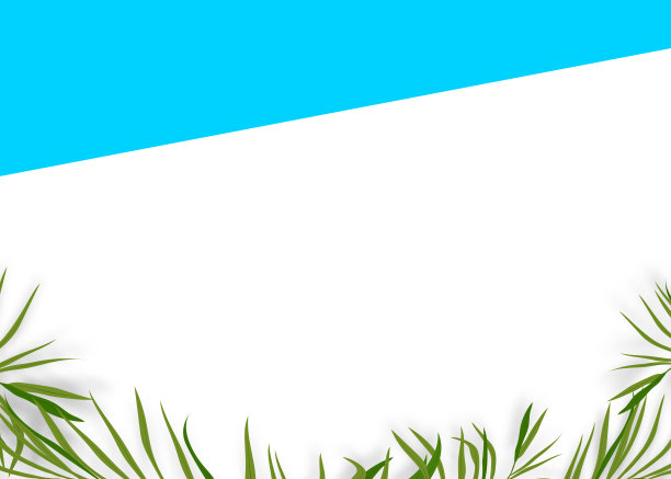 夏天的背景，棕榈叶框架边框的蓝色和白色化妆品的背景，横幅热带植物的模板，夏季海滩旅游，假期度假产品销售，促销，网络图片下载