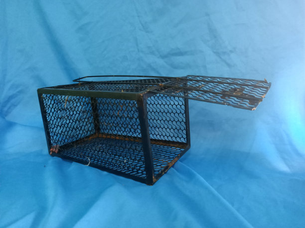 蓝色背景的空金属捕鼠器，照片特写图片下载