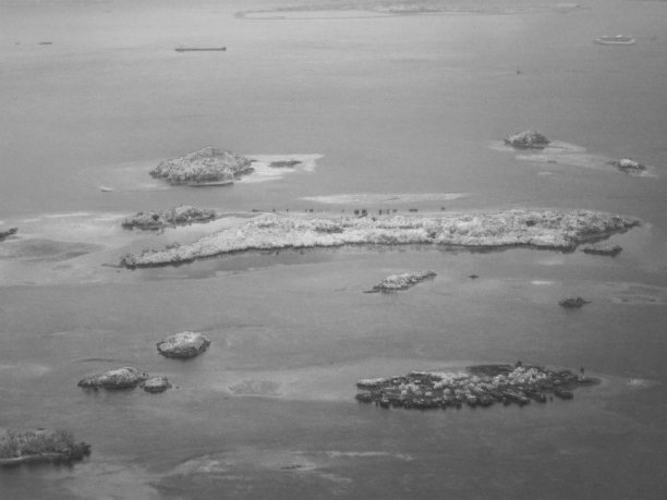 在新加坡附近的岛屿上，从飞机内部拍摄的黑白红外照片图片下载