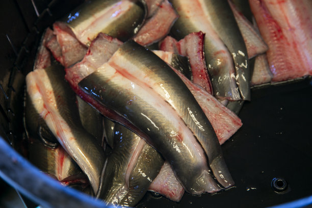 日本厨师正在准备和清洗鳗鱼。烤熏鳗鱼是日本千叶成田最传统的食物。图片下载