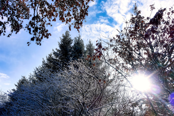 一种装饰目的的装置，比如圣诞节图片下载