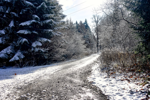 一种装饰目的的装置，比如圣诞节图片下载
