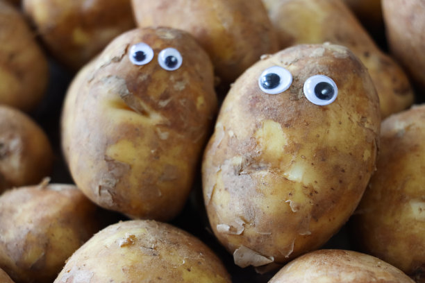 有趣的特写形象，卡通人物由两个大眼睛的土豆做成，一堆带皮的洗过的土豆，儿童健康饮食，幽默的概念，重点放在前景图片下载