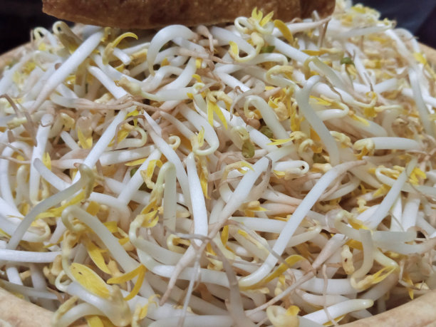 照片上的对象是豆芽图片下载